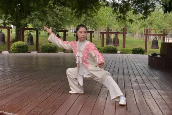 太极拳 易筋经