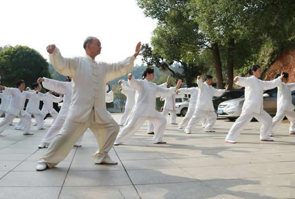太极拳 易筋经