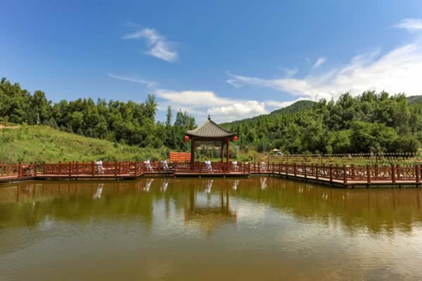胎息 胎息经