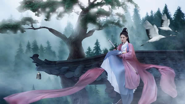 胎息 胎息经