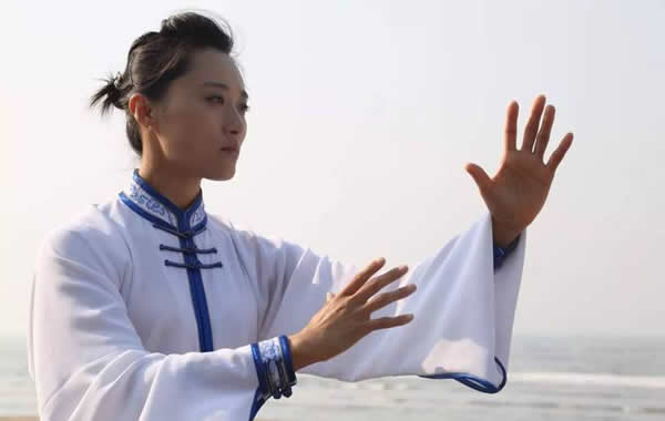 形意拳 易筋经