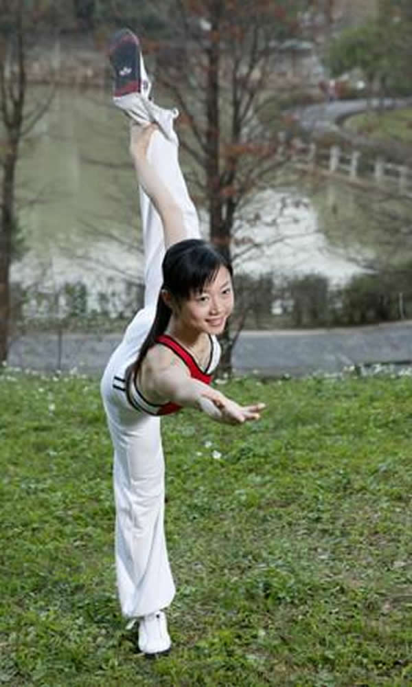 形意拳 易筋经