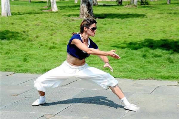 形意拳 易筋经