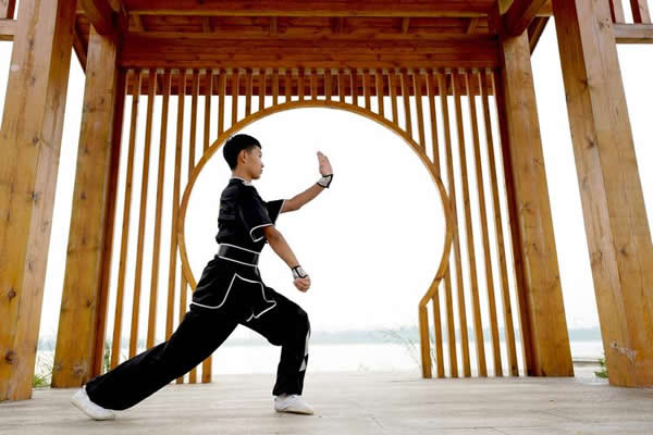 形意拳 易筋经