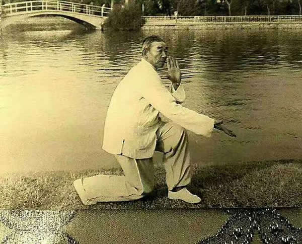 ׽