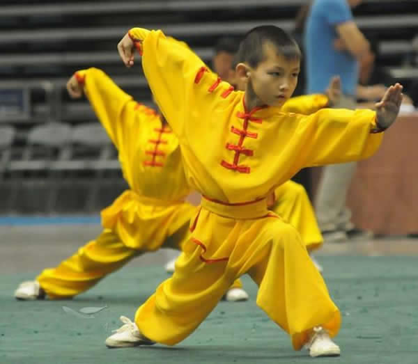 洗髓经 易筋经