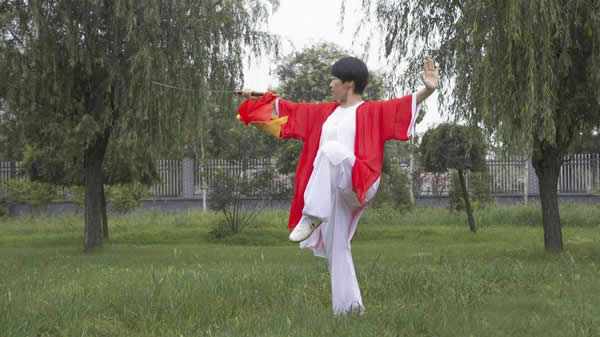 内功 易筋经
