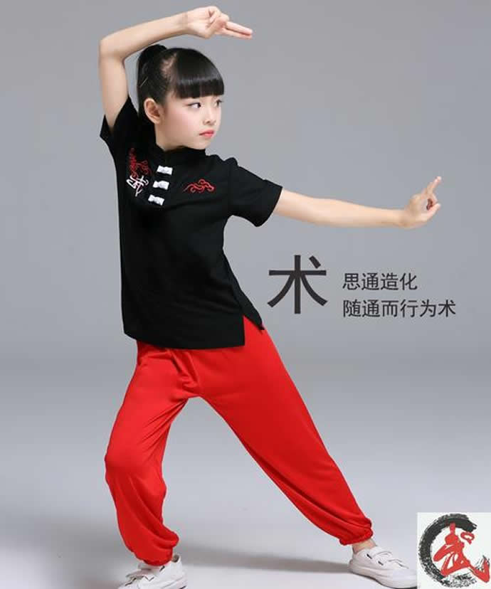 内功 易筋经